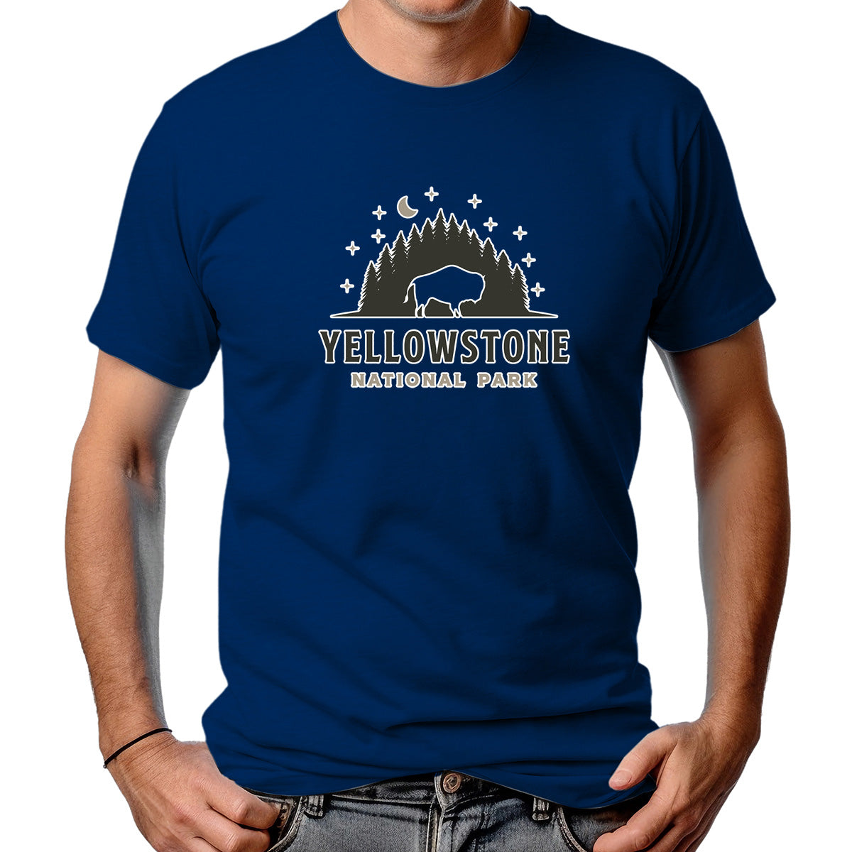 CAMISETA MASCULINA YELLOWSTONE NP