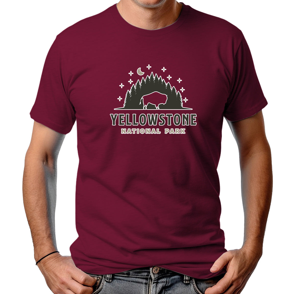 CAMISETA MASCULINA YELLOWSTONE NP