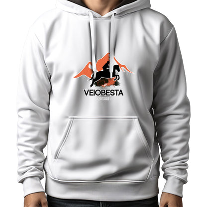 MOLETOM MASCULINO VEIO BESTA STORE