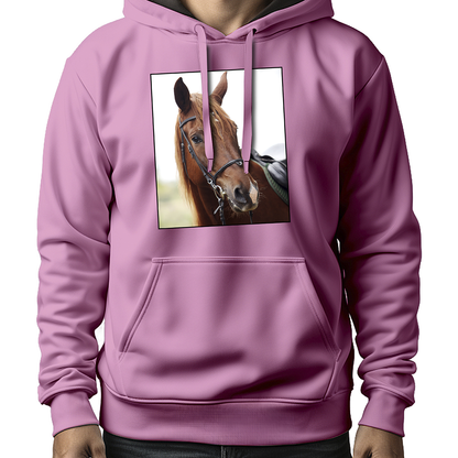 MOLETOM MASCULINO CAVALO