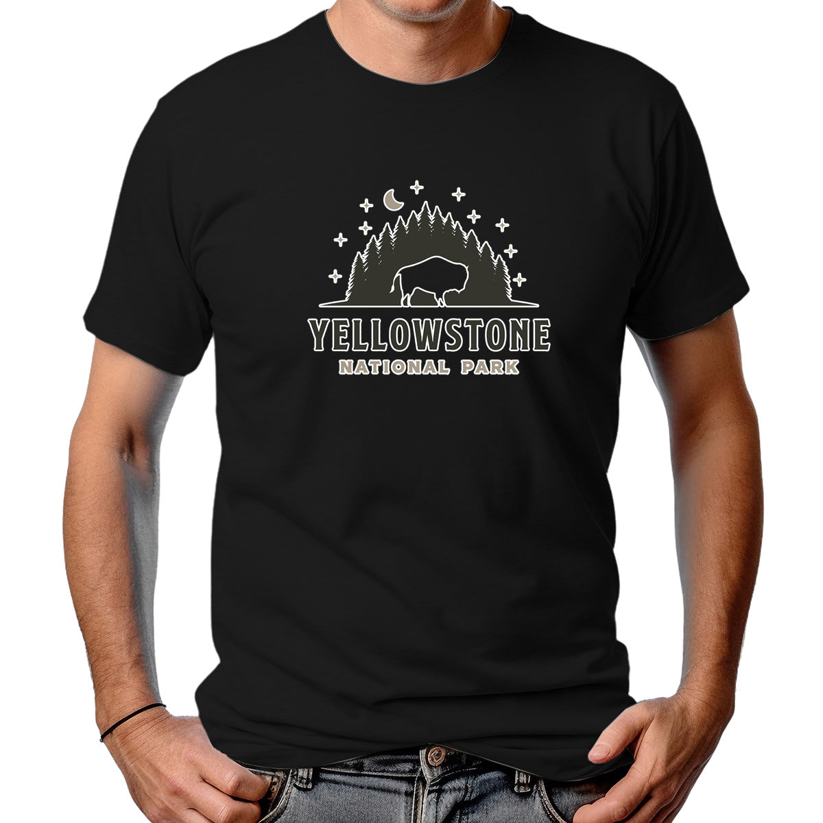CAMISETA MASCULINA YELLOWSTONE NP
