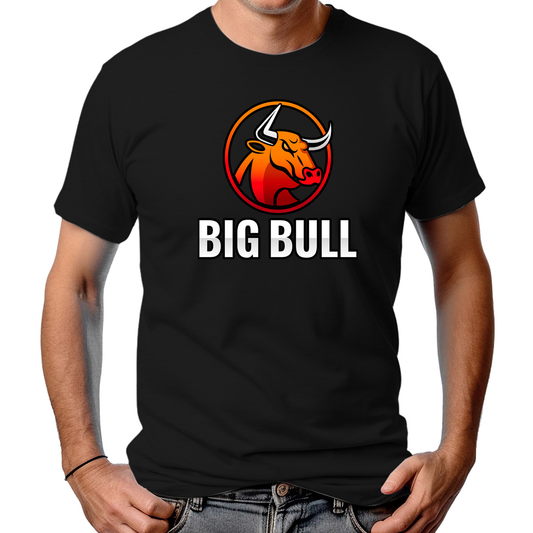 CAMISETA MASCULINA BIG BULL