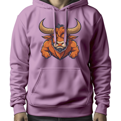MOLETOM MASCULINO ORANGE BULL NEW